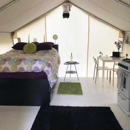Vines And Puppies Glamping Hideaway Hotel Jade City Buitenkant foto