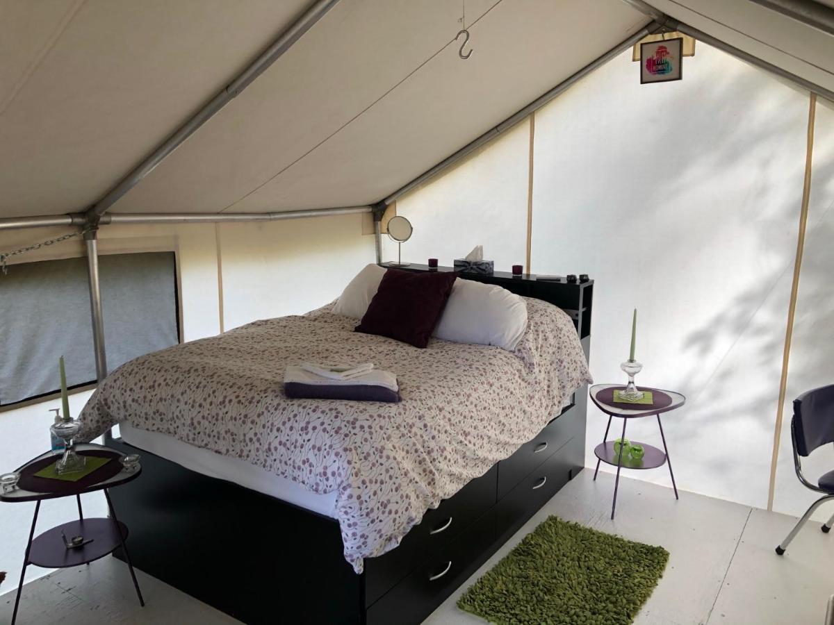 Vines And Puppies Glamping Hideaway Hotel Jade City Buitenkant foto